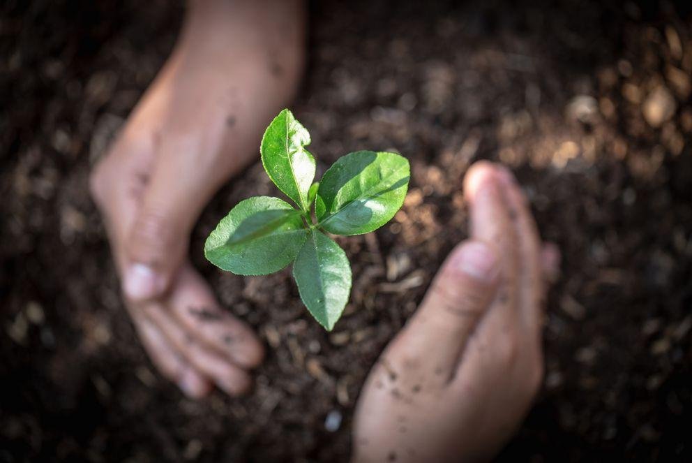 Veranstaltung „Klimaschutz global denken“ an der Universität Passau